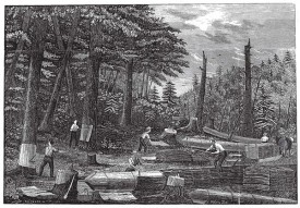 hemlock1.jpg thumbnail
