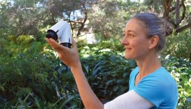 hydrophonics_discovery.jpg thumbnail