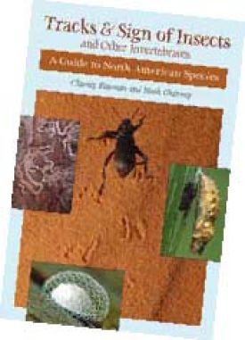 insect_tracks_signs.jpg thumbnail