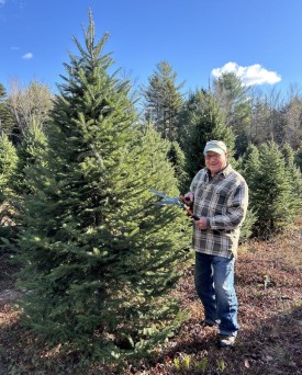 Christmas tree pruning thumbnail