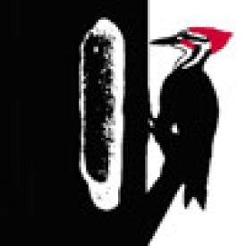 large_nw_logo_woodpecker_100sq.jpg thumbnail