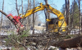 Logging_City_1.jpg thumbnail