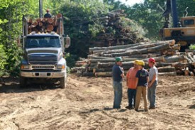 logging_image_IMG_4295_-_300-72.jpg thumbnail