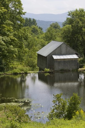mill2.jpg thumbnail