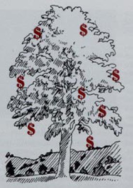 money.jpg thumbnail