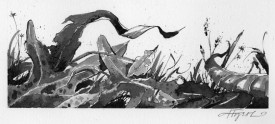 Mulch_1.jpg thumbnail
