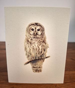 NC-BO-owl.jpg thumbnail