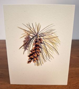 NC-EWP-white-pine.jpg thumbnail