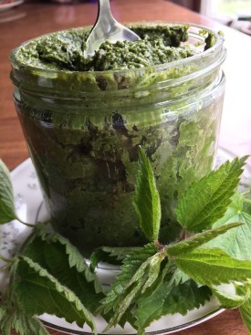 nettle_pesto.jpg thumbnail