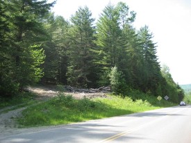NW-blog-landings-photo-WEB.jpg thumbnail
