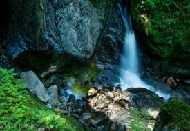NW Falls thumbnail
