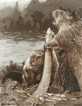 Outdoor_Pallette_Beavers_web.jpg thumbnail