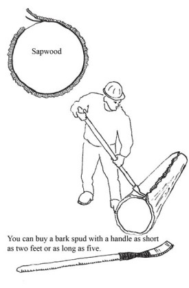Peelings_logs_with_text.jpg thumbnail