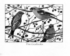 Pine_Grosbeaks.jpg thumbnail