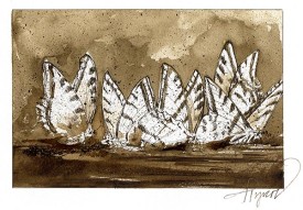 Puddle_of_butterflies_w.jpg thumbnail