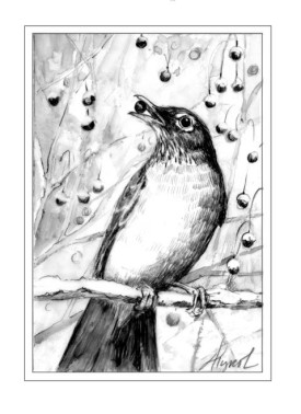 Robin_in_the_snow.jpg thumbnail