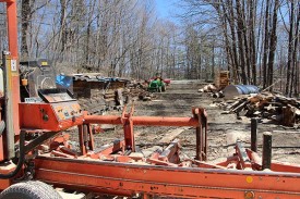 Sawdust_Header.jpg thumbnail