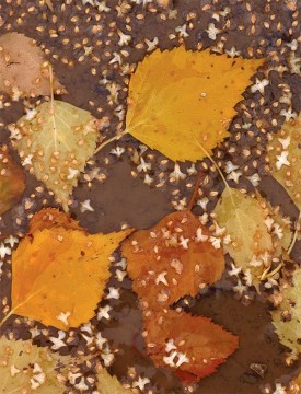 seeds_promise1.jpg thumbnail