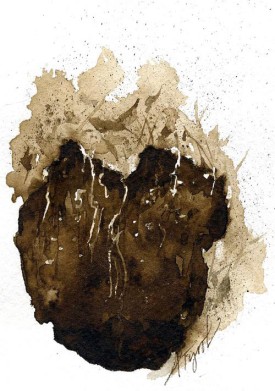 sink_hole_web.jpg thumbnail