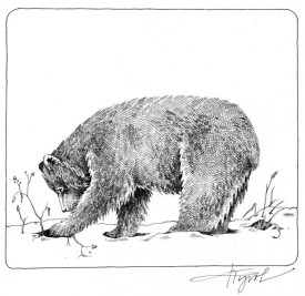 sleepingbearspix.jpg thumbnail