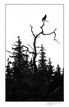 Snag.jpg thumbnail