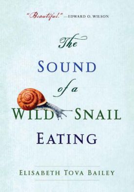 snail.jpg thumbnail