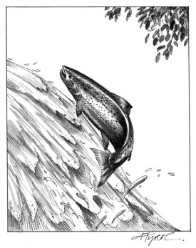 spawning_web.jpg thumbnail