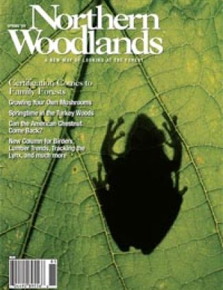Photo by Frank Kaczmarek Spr09_cvr200_copy.jpg cover 