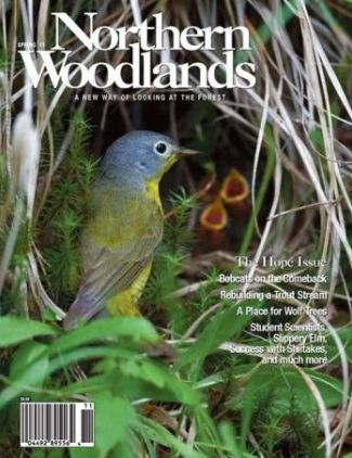 Photo by Roger Irwin. SPR11_cover_image.jpg cover 