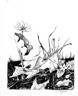 springflowerspix.jpg thumbnail