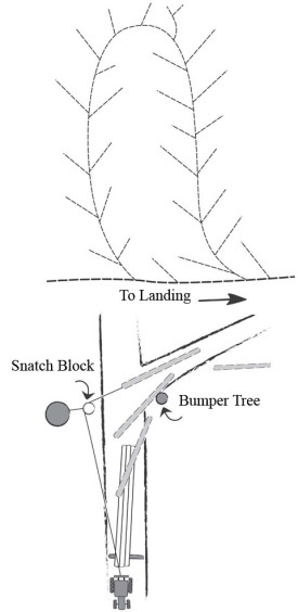 stump1_FINAL_UPDATE.jpg thumbnail