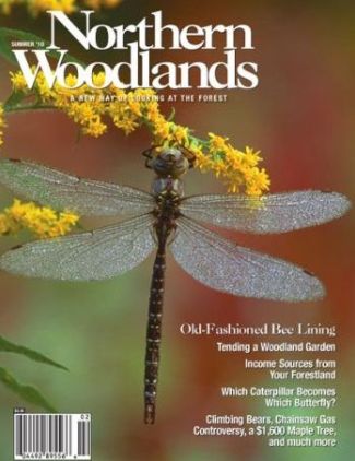 Photo by Gustav W. Verderber SUM10cover.jpg cover 