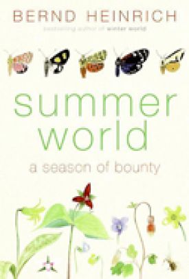 summer_world2.jpeg thumbnail