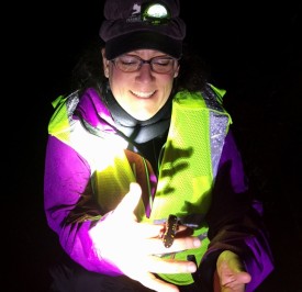 Thelen with salamander thumbnail