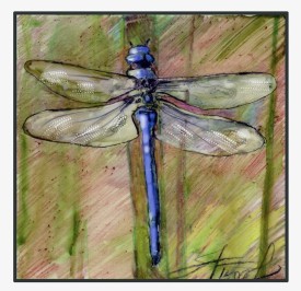 Dragonfly thumbnail