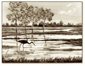 Floodplain forest thumbnail