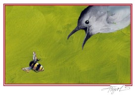 Gray catbird thumbnail