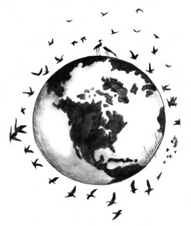 Earth magnetic field thumbnail