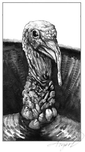 Turkey thumbnail