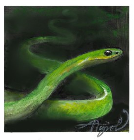 Smooth green snake thumbnail