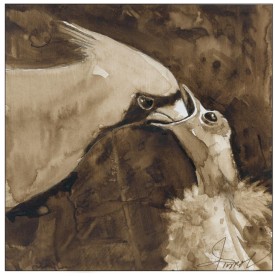 TOS_Cardinal_web.jpg thumbnail