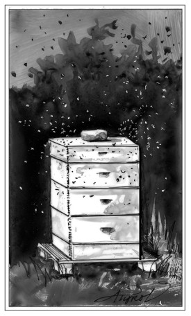 TOS_Honeybee_Hive_web.jpg thumbnail