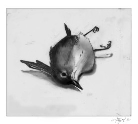 Migration Bird thumbnail