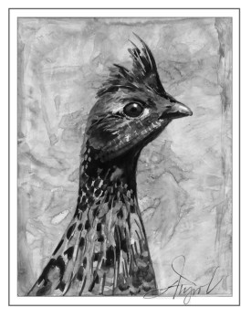 Ruffed grouse thumbnail