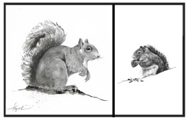 TOS_Squirrels_19_web.jpg thumbnail