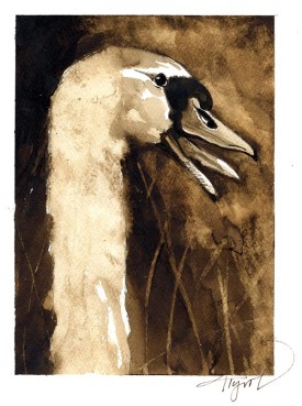 TOS_Swan_web.jpg thumbnail