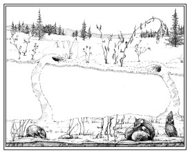 TOS_under_snow_w.jpg thumbnail