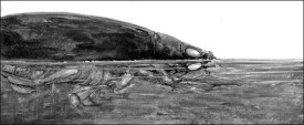 TOS_whirligig_2018_web.jpg thumbnail