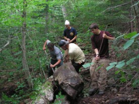 Trail Crew thumbnail