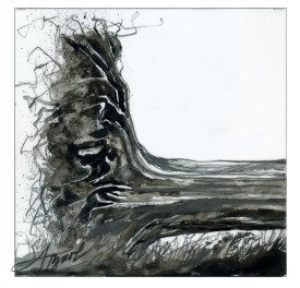 Fallen trees thumbnail